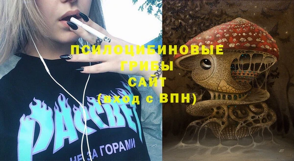 ПСИЛОЦИБИНОВЫЕ ГРИБЫ Володарск