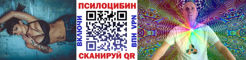 хочу наркоту  Называевск  hydra ссылки  Псилоцибиновые грибы Psilocybe 
